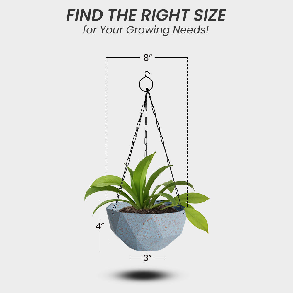 SHERA | DMD KTR BIO HANGING