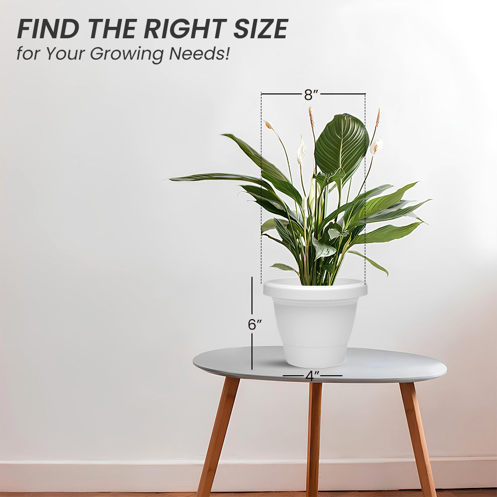 SHERA | SD PLANTER