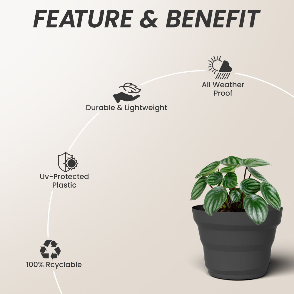 SHERA | RING PLANTER