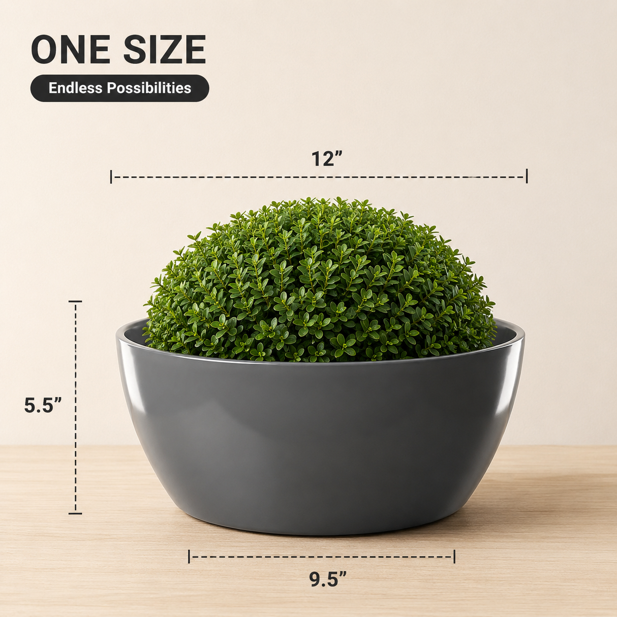 SHERA | STELLA K PLANTER