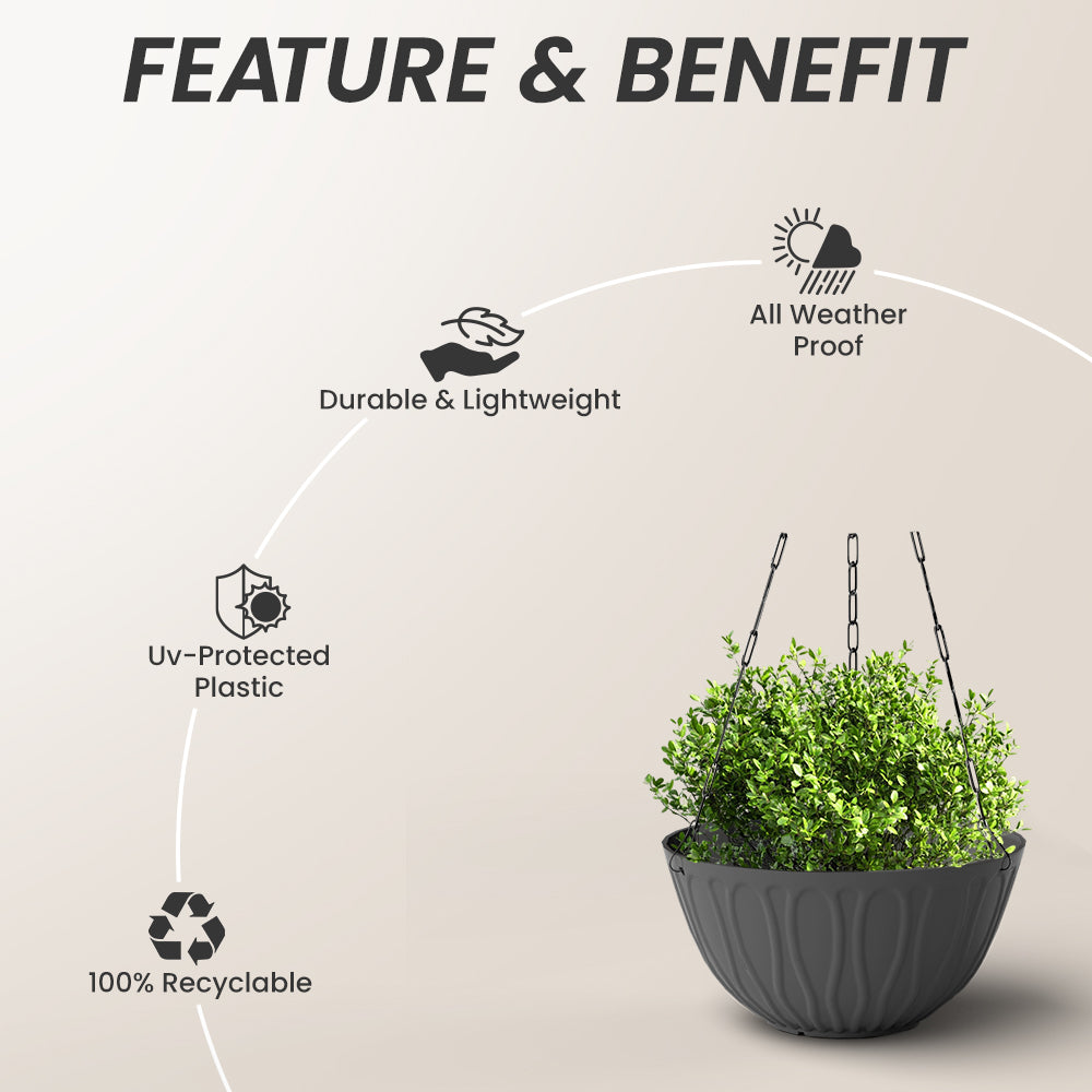 SHERA | WAVE HANGING