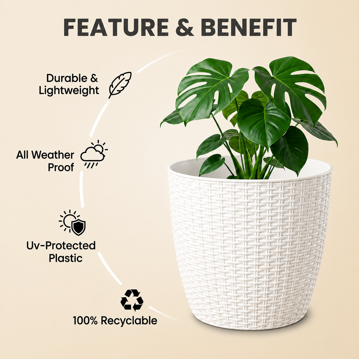 SHERA | STELLA R PLANTER