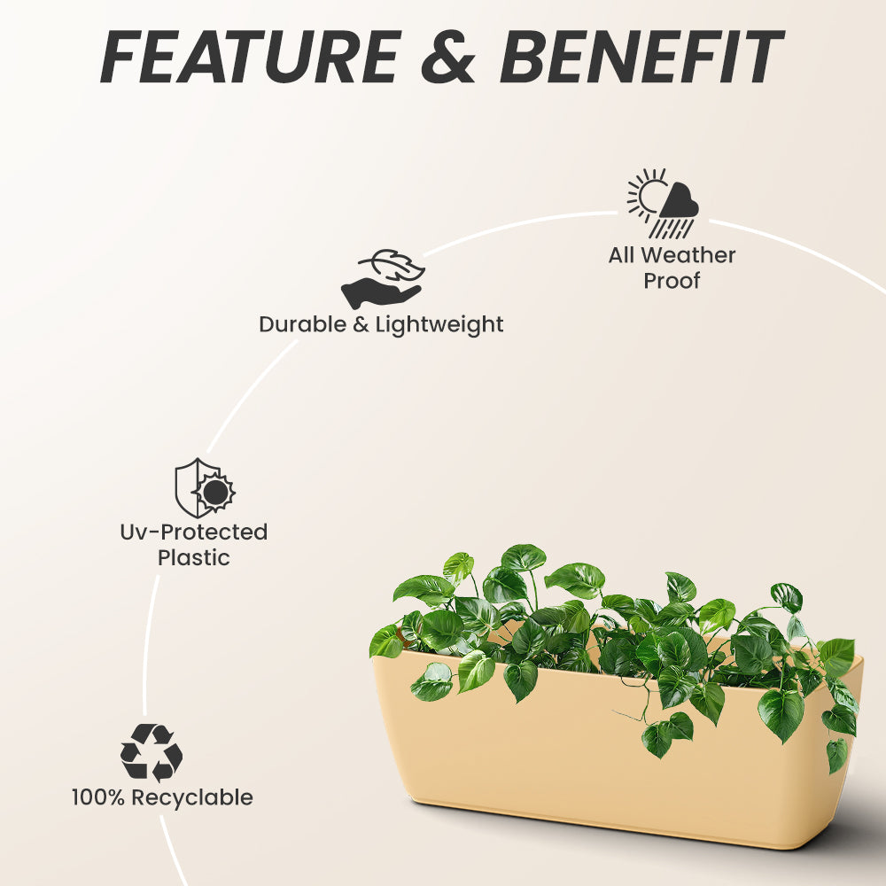 SHERA | CABI TRAY PLANTER