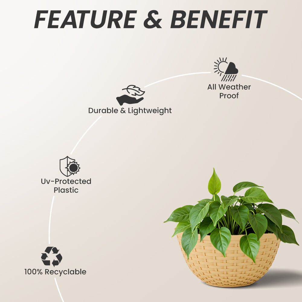 SHERA | CHICK KTR PLANTER