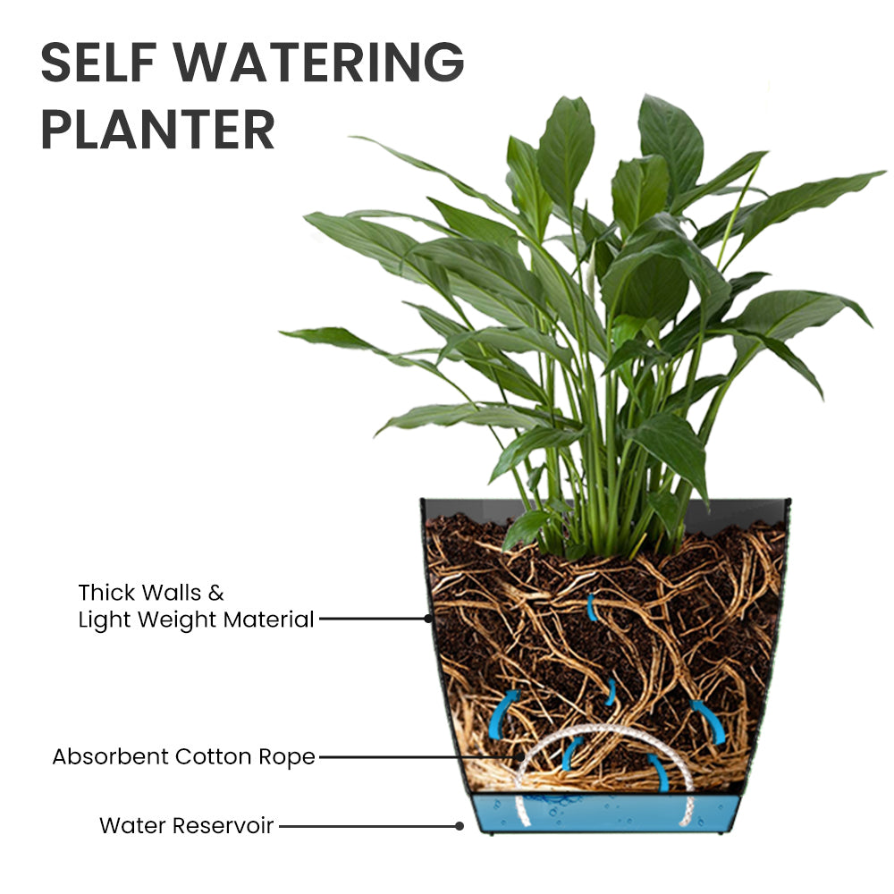 SHERA | CRUZ PLANTER