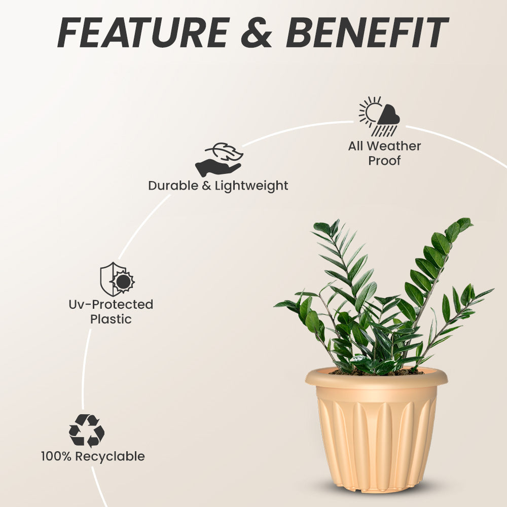 SHERA | FLOOT PLANTER