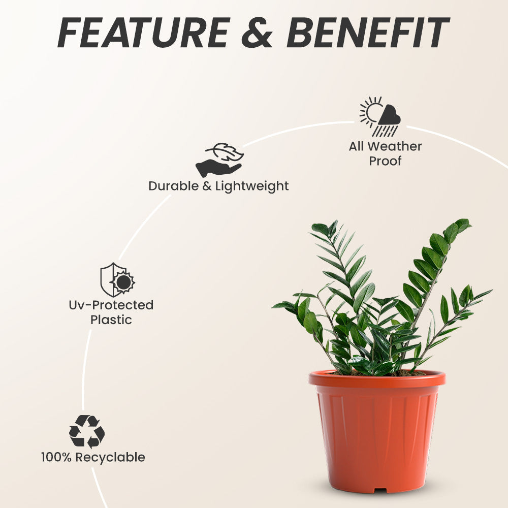 SHERA | CROWN PLANTER