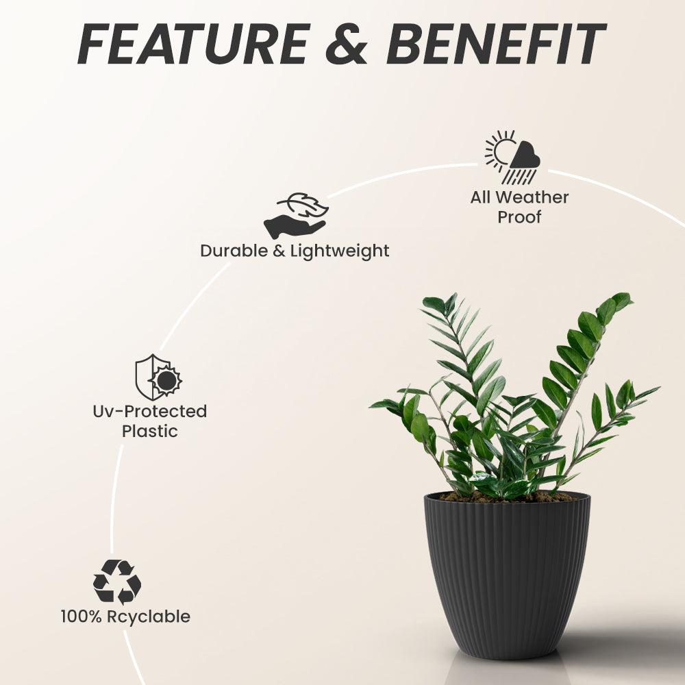 SHERA | LOTUS PLANTER