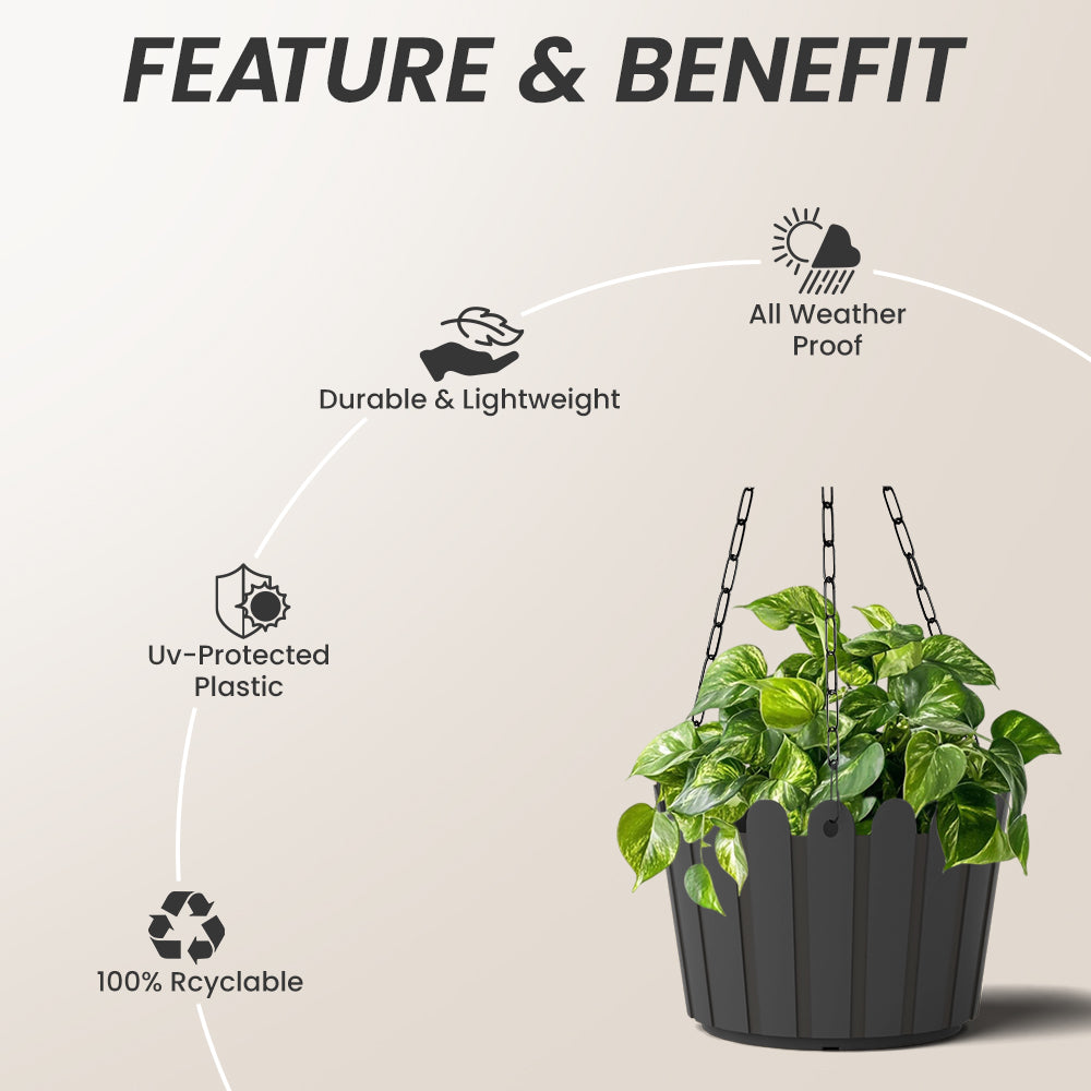 SHERA | FENCE HANGING