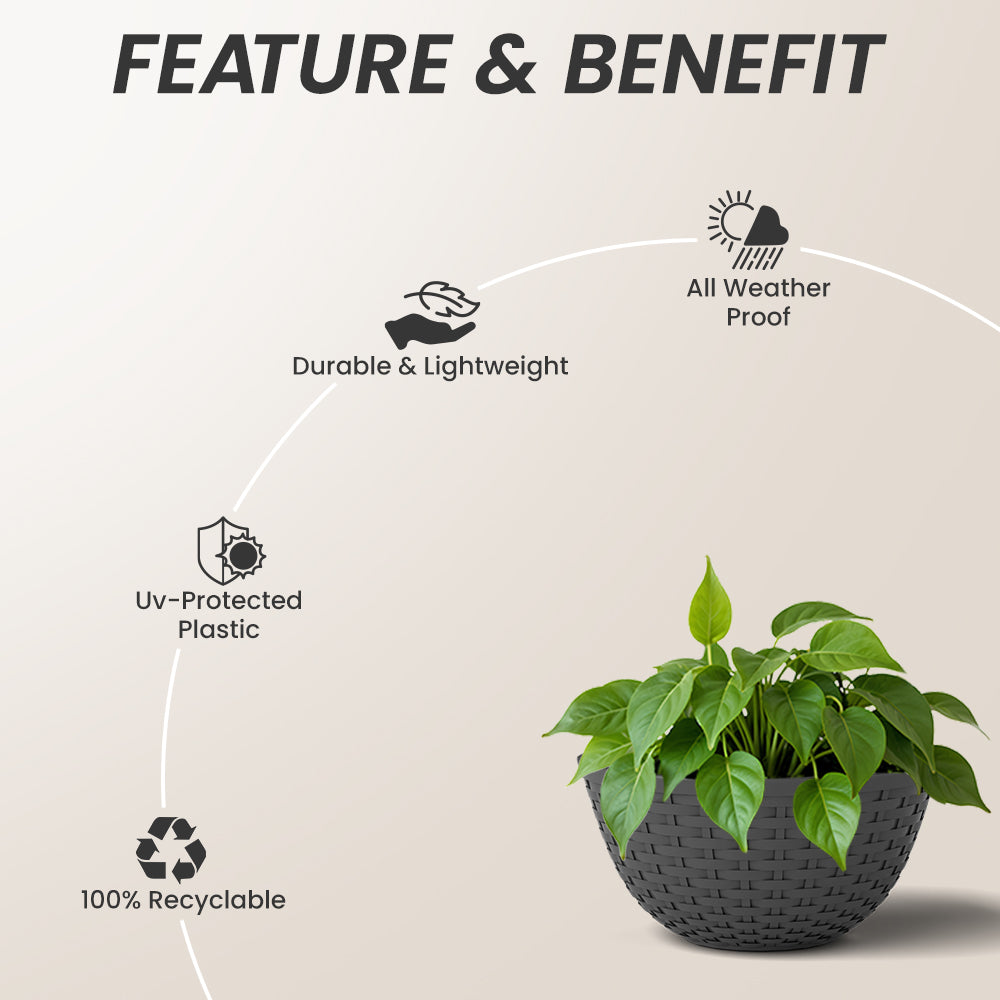 SHERA | CHICK KTR PLANTER