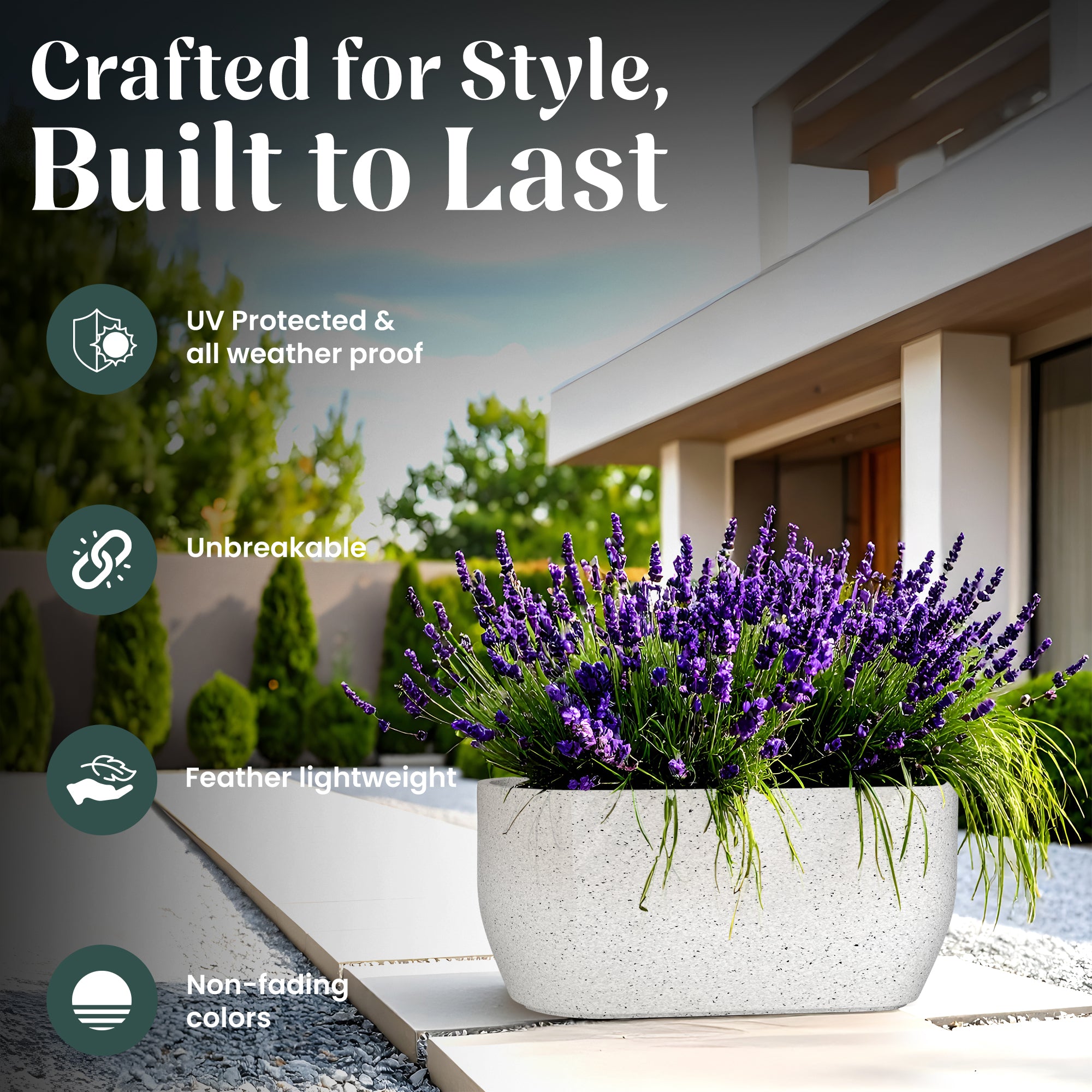 FOX B | PCTR PLANTER