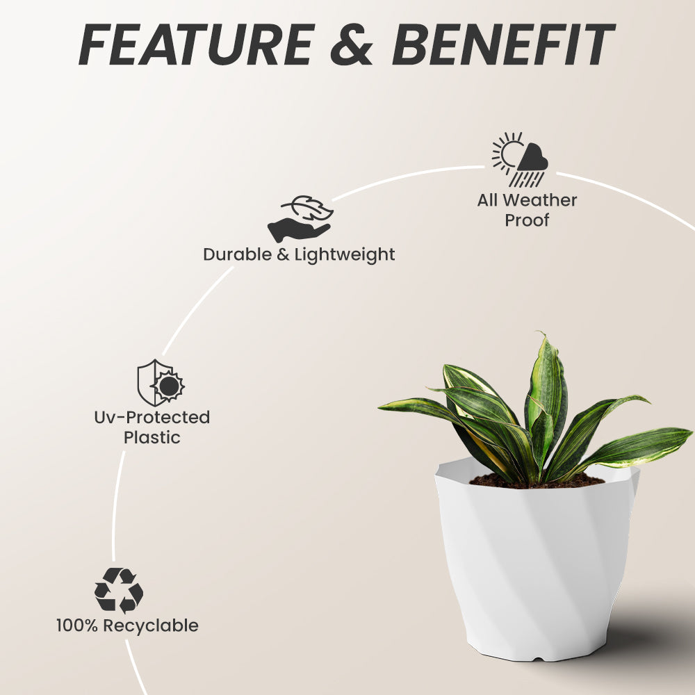 SHERA | SWIRL PLANTER