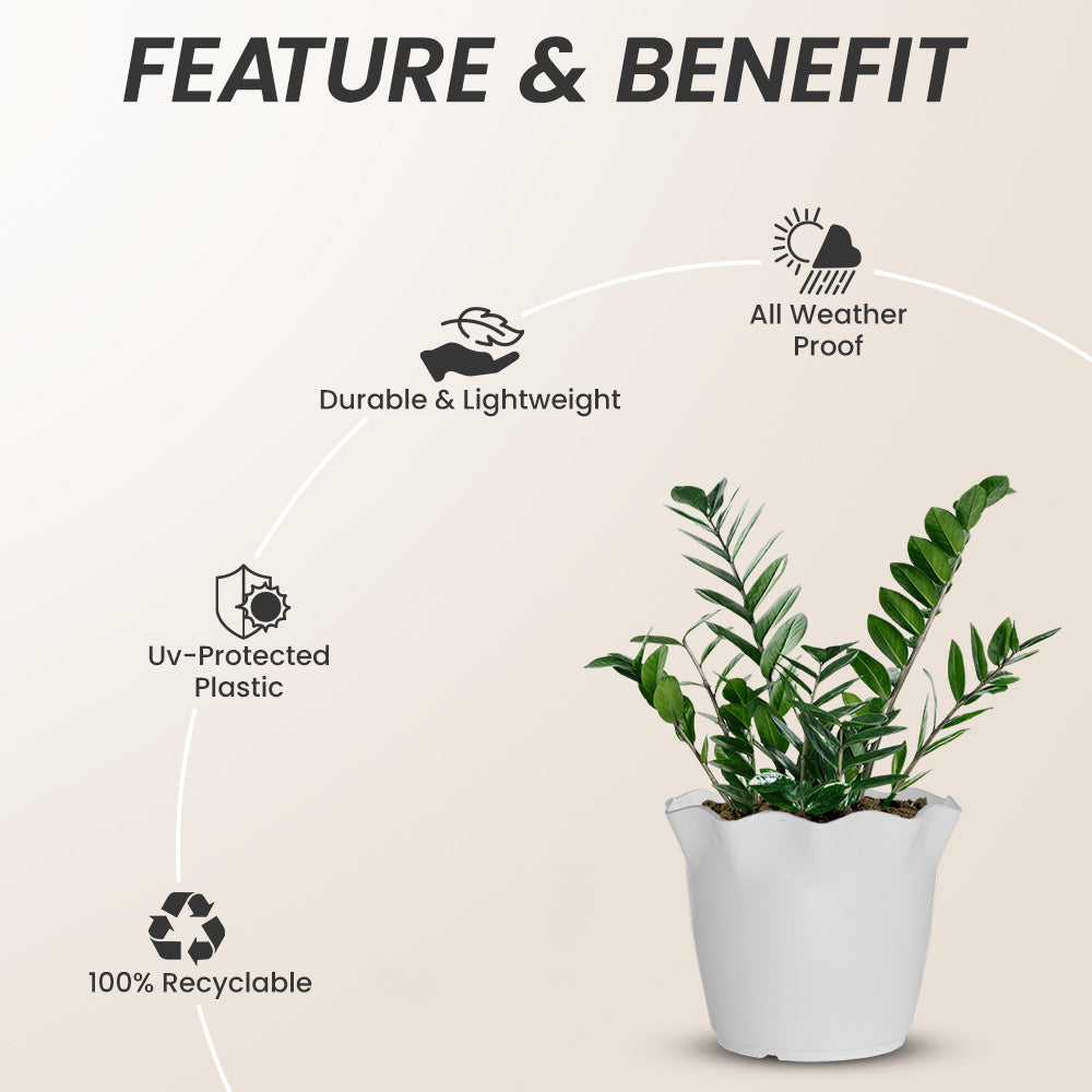 SHERA | FLOWER PLANTER