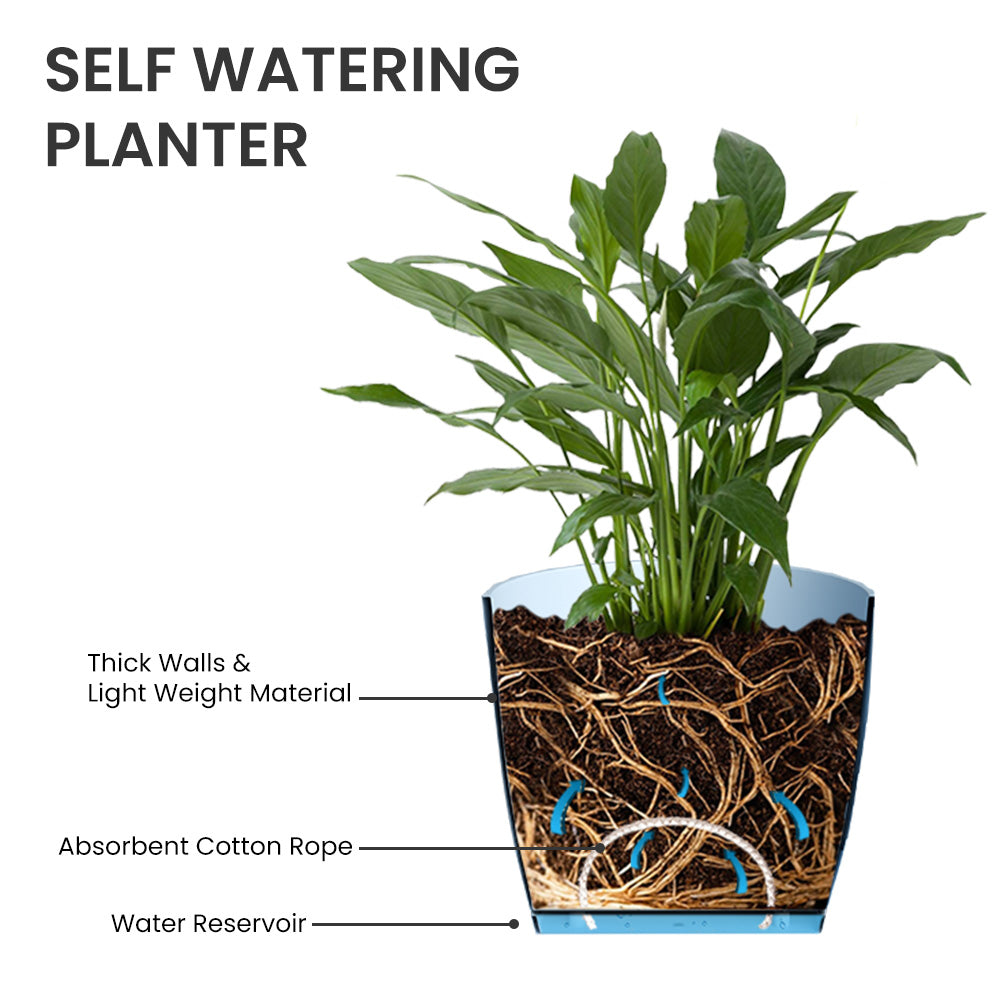 SHERA | ZINNIA PLANTER