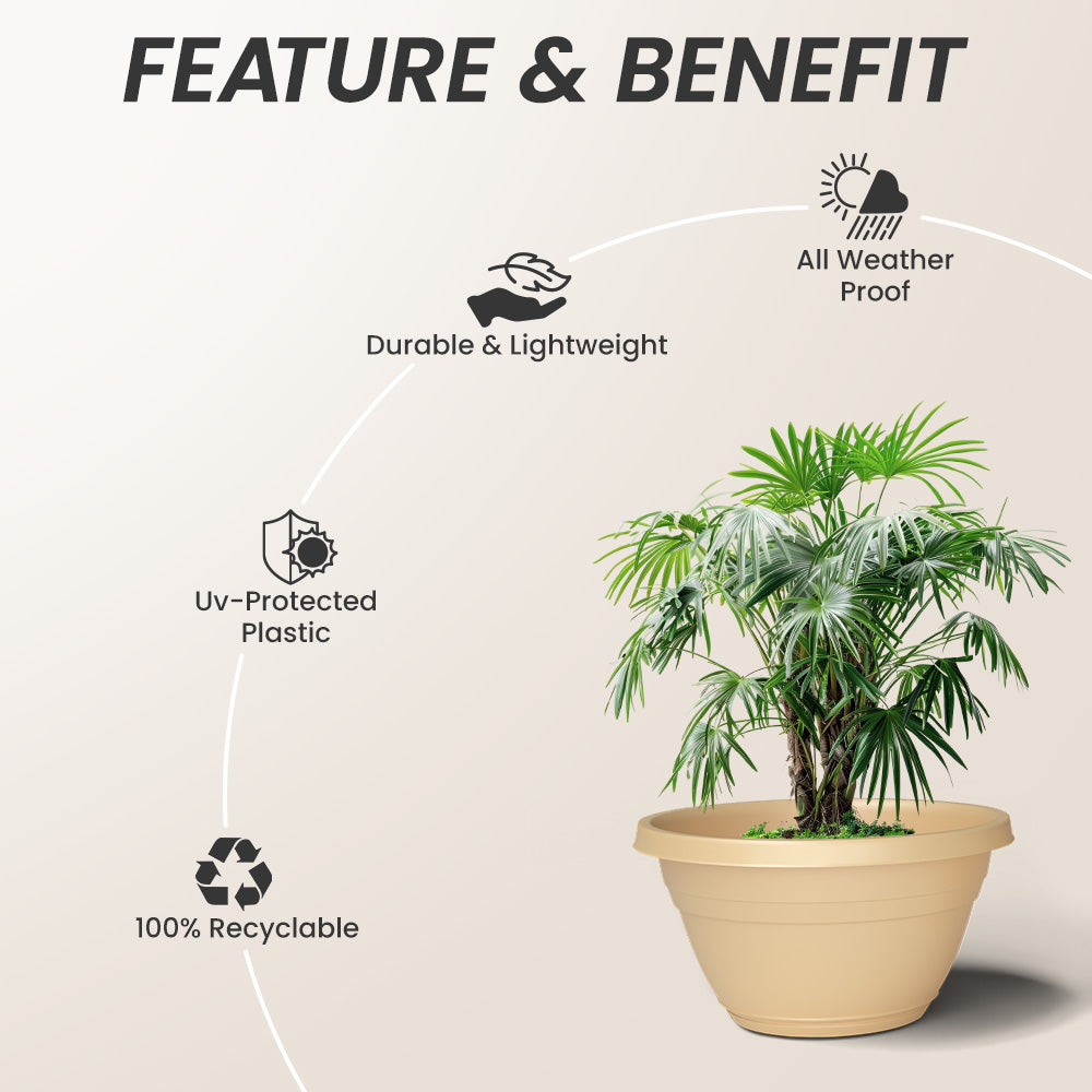 SHERA | BOTANICA BONSAI KTR PLANTER