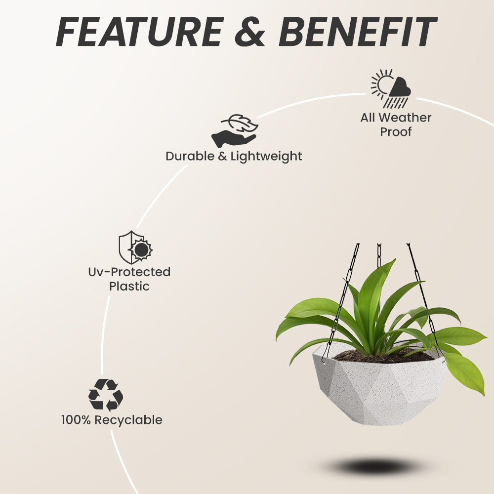 SHERA | DMD KTR BIO HANGING