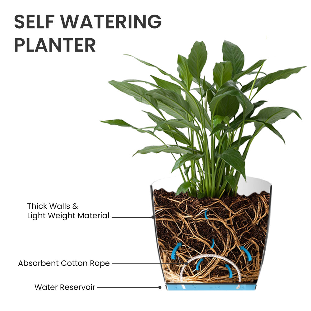 SHERA | ZINNIA PLANTER