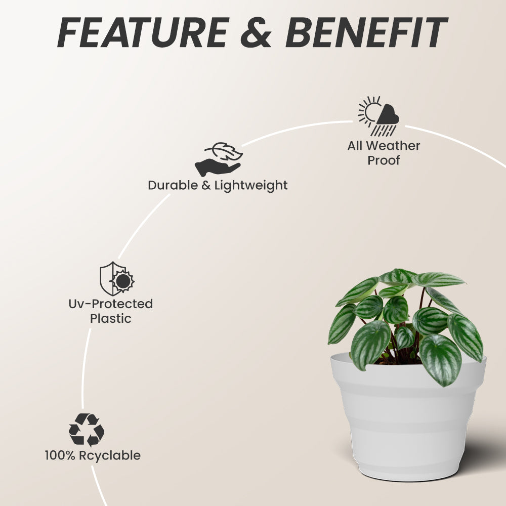 SHERA | RING PLANTER