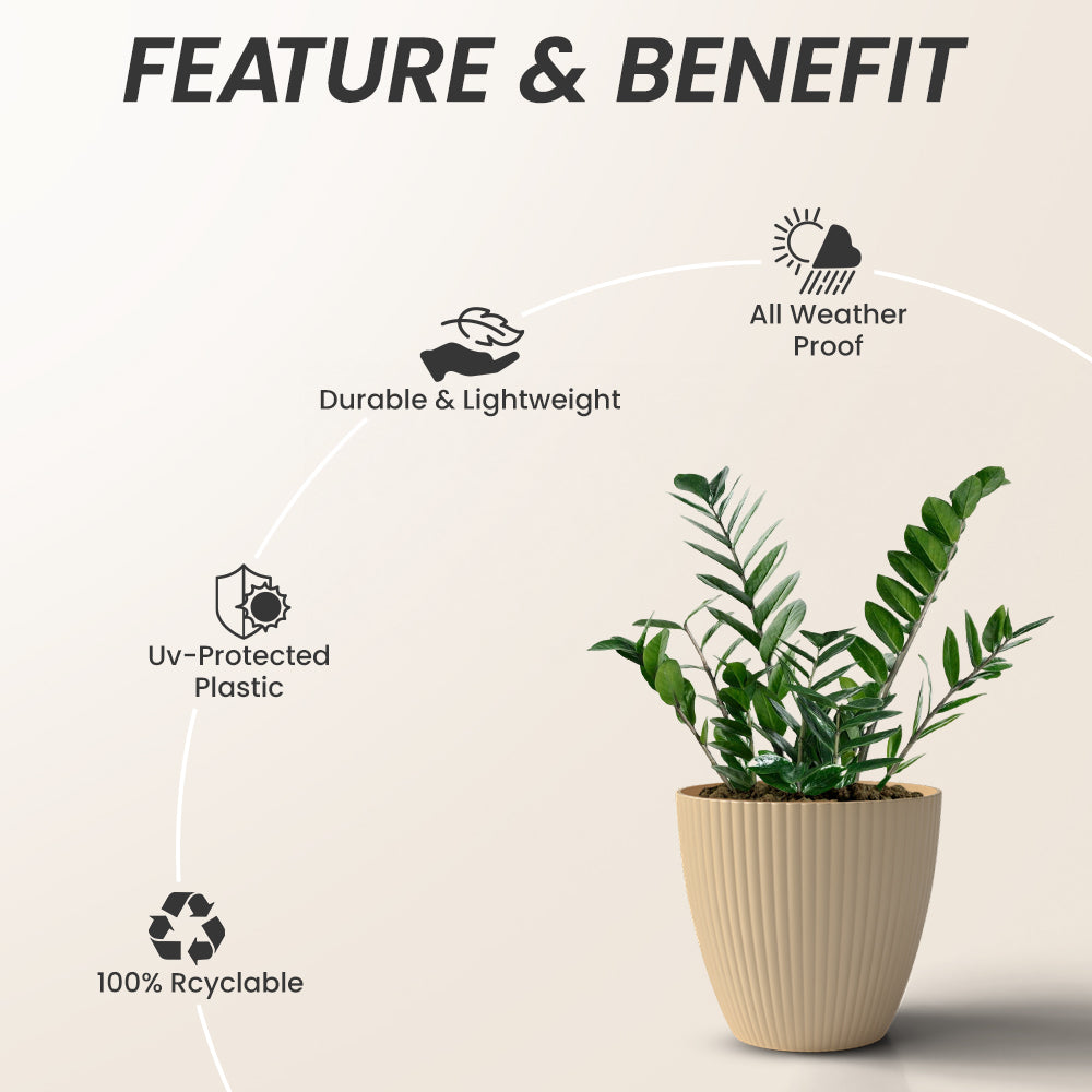 SHERA | LOTUS PLANTER