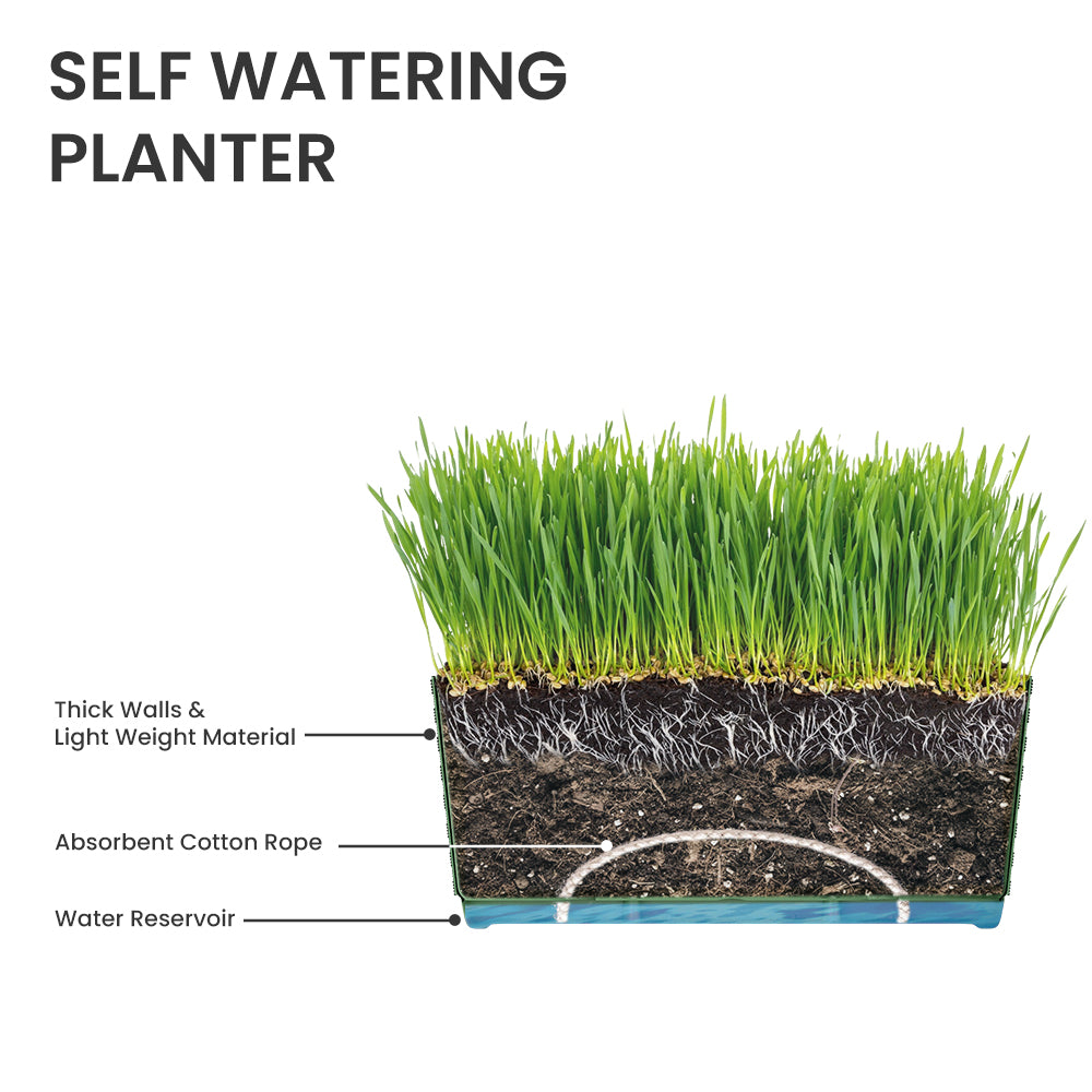 SHERA | RATTAN TRAY