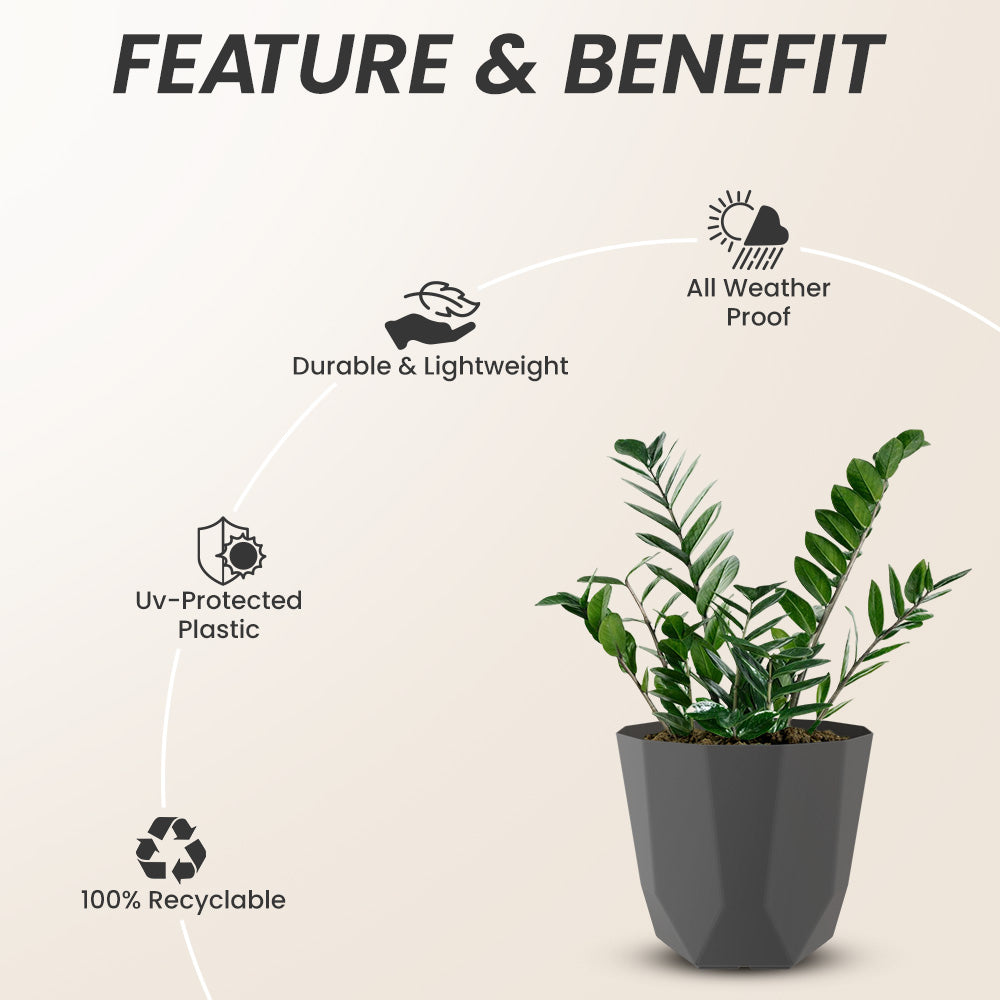 SHERA | HEXA PLANTER