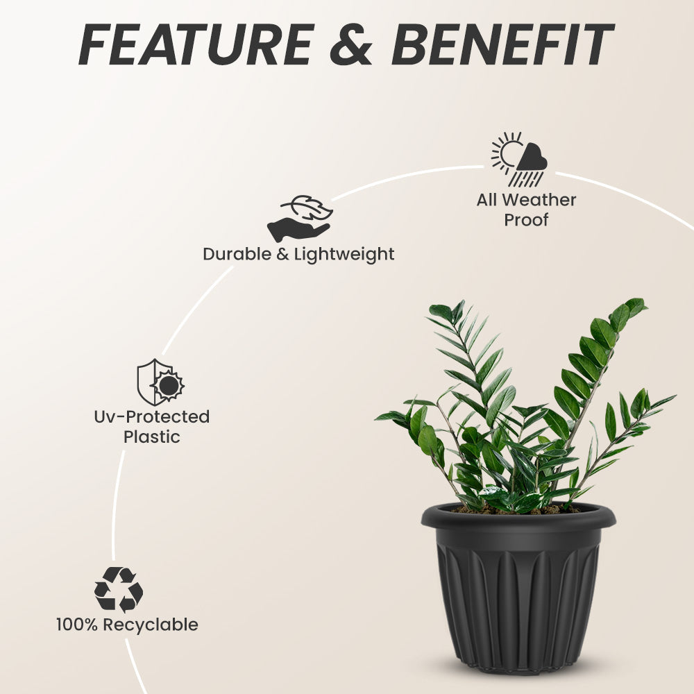 SHERA | FLOOT PLANTER