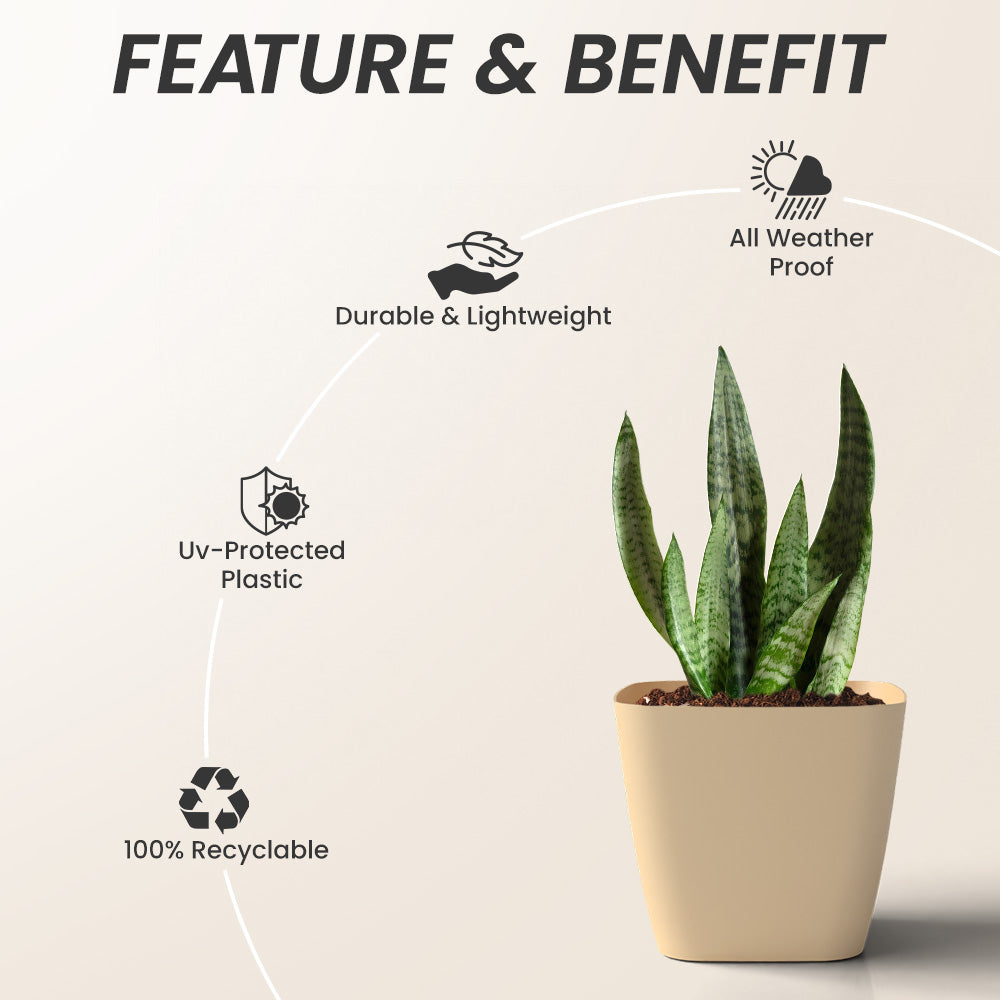 SHERA | STOIC PLANTER