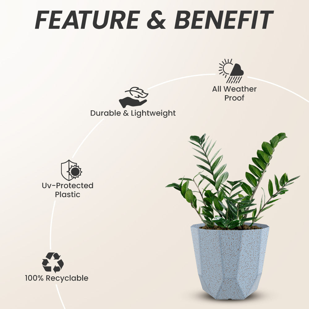 SHERA | HEXA BIO PLANTER