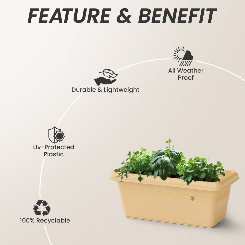 SHERA | TP PLANTER