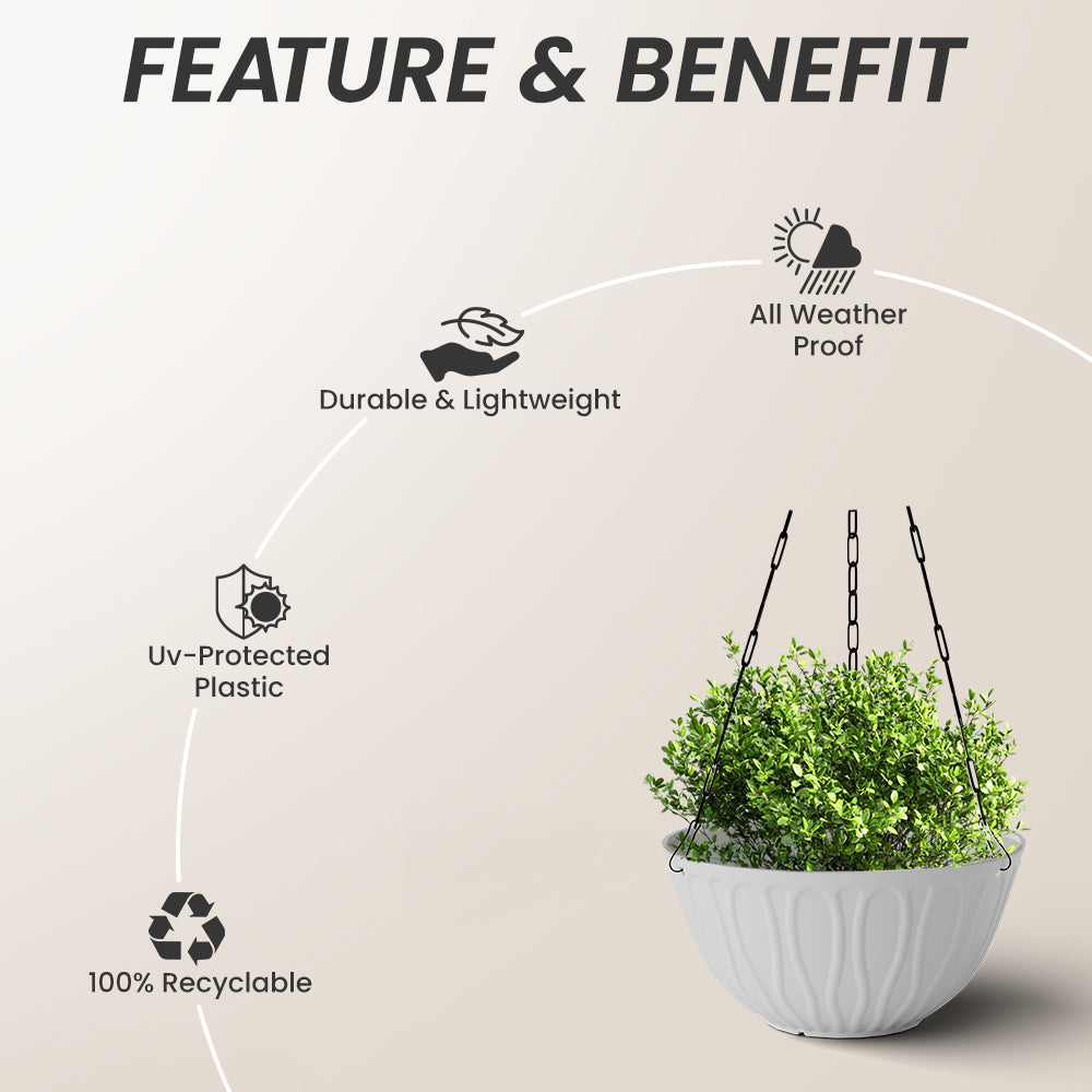 SHERA | WAVE HANGING