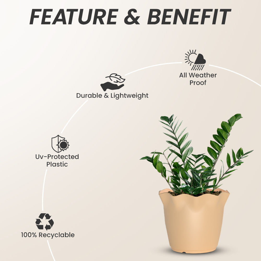 SHERA | FLOWER PLANTER