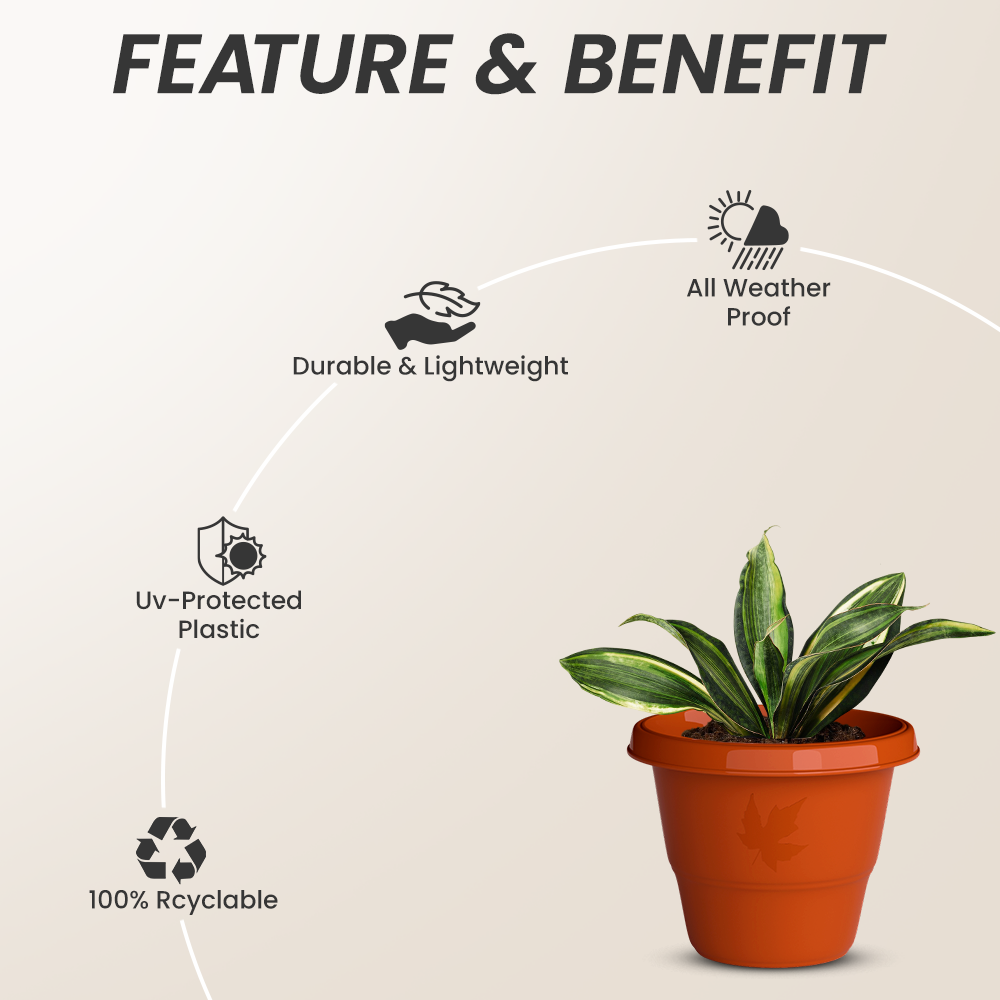 SHERA | RD PLANTER 14 INCH TO 20 INCH