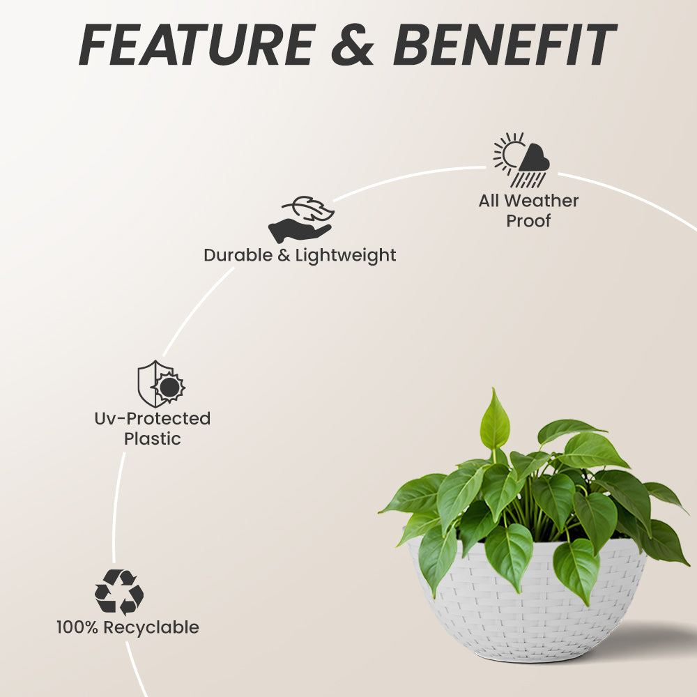 SHERA | CHICK KTR PLANTER