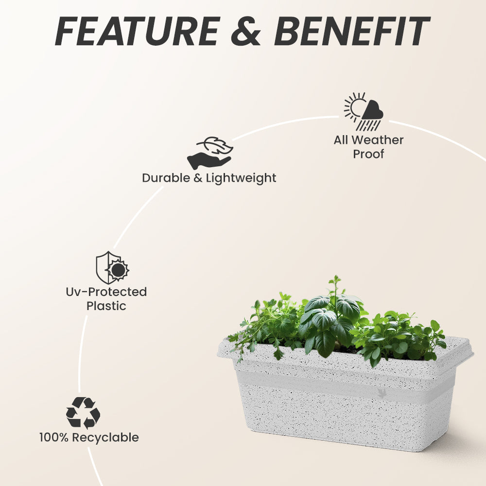 SHERA | TP PLANTER