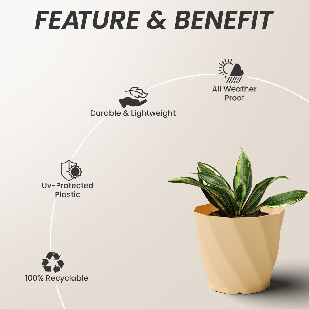 SHERA | SWIRL PLANTER