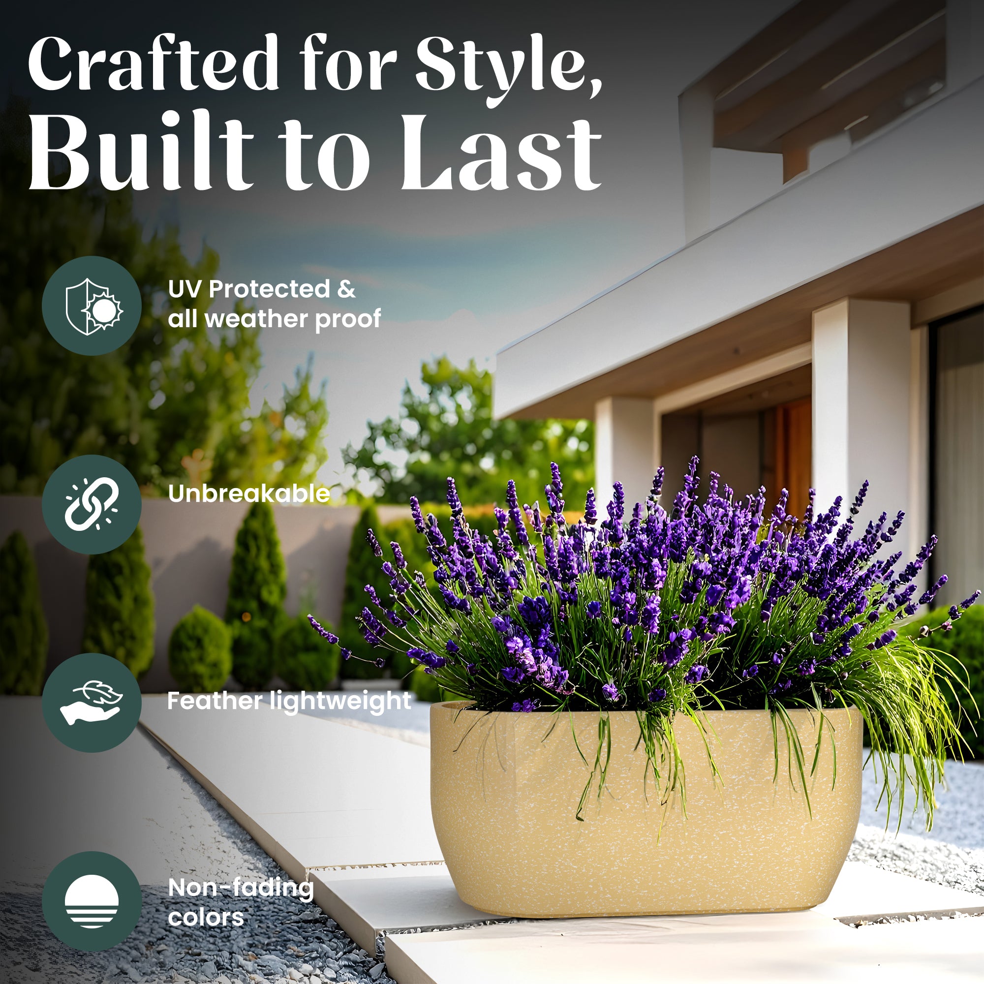 FOX B | PCTR PLANTER