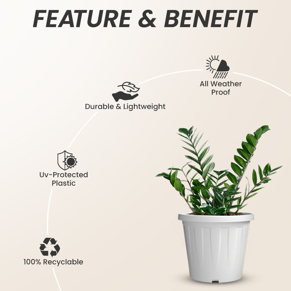 SHERA | CROWN PLANTER