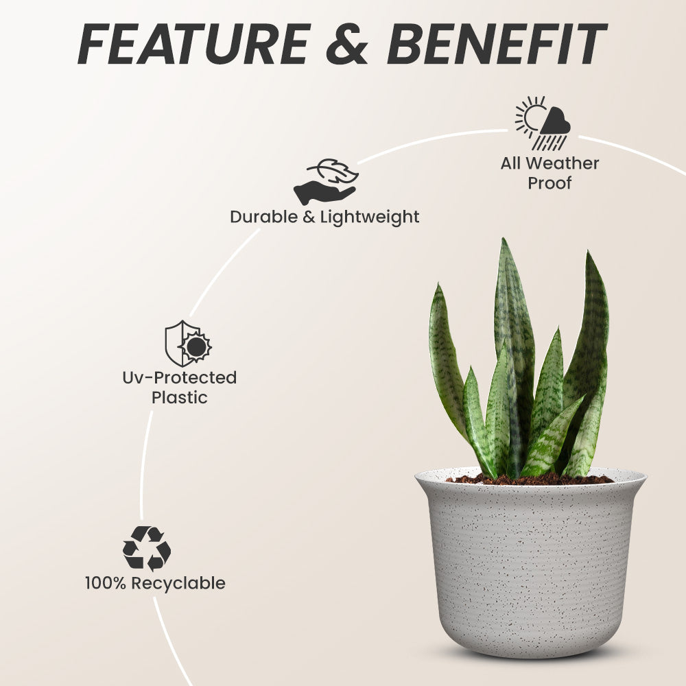 SHERA | FLORA PLANTER