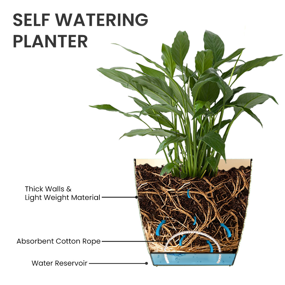 SHERA | CRUZ PLANTER