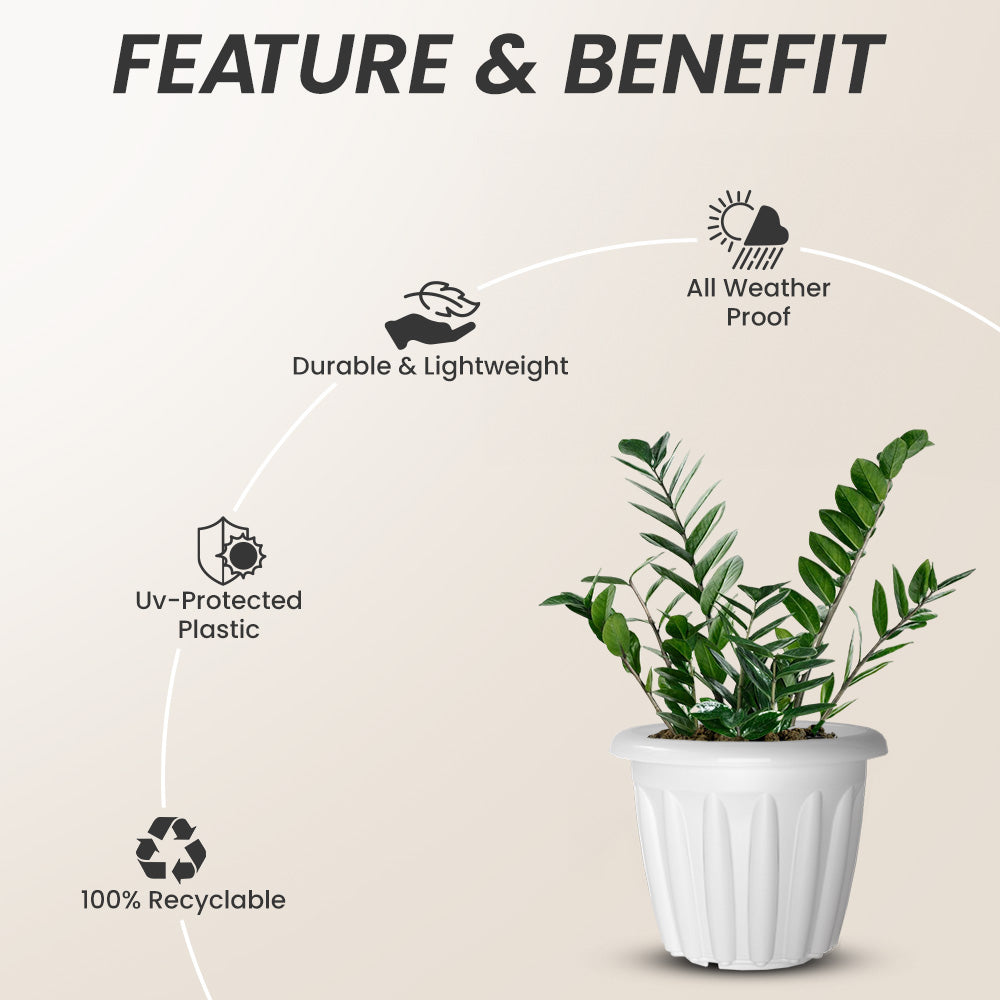 SHERA | FLOOT PLANTER