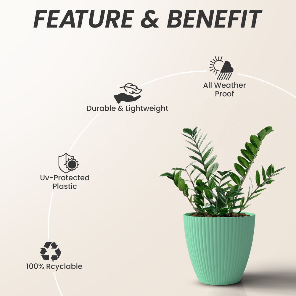 SHERA | LOTUS PLANTER