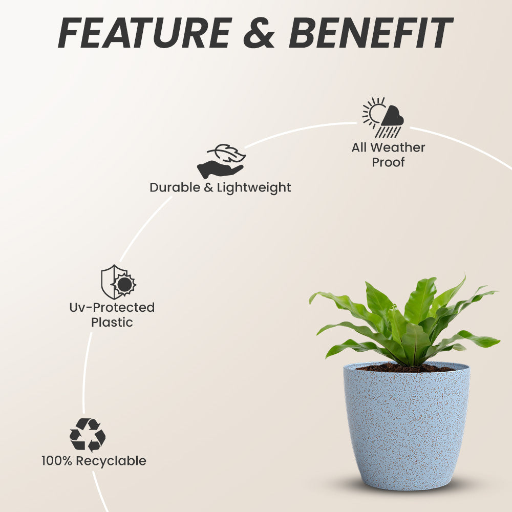 SHERA | STELLA BIO PLANTER