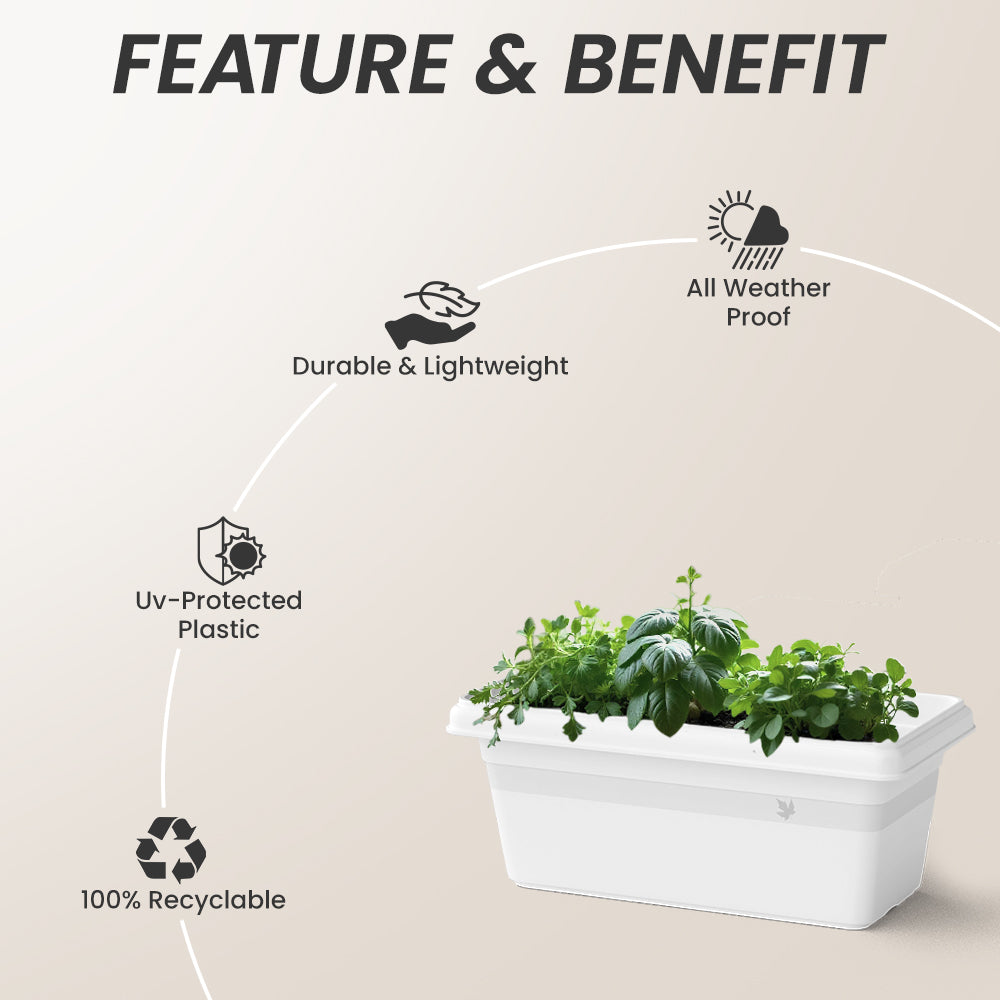 SHERA | TP PLANTER