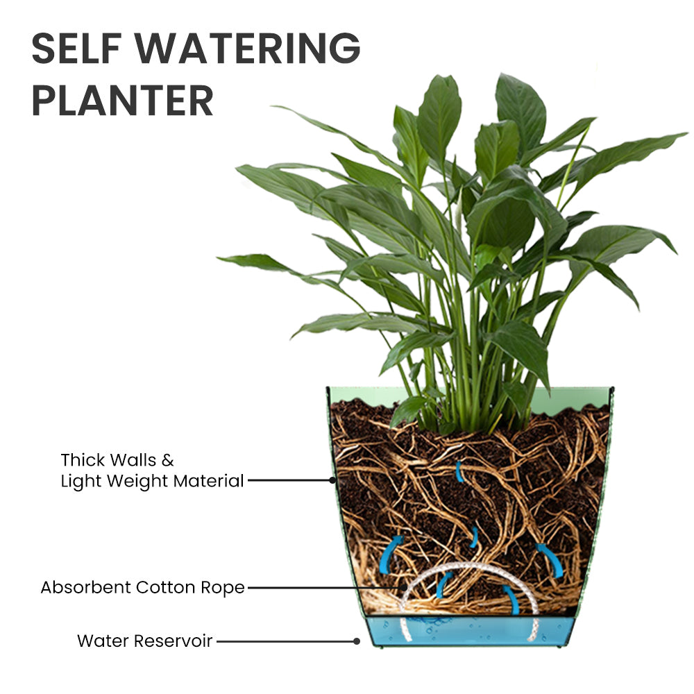 SHERA | CRUZ PLANTER