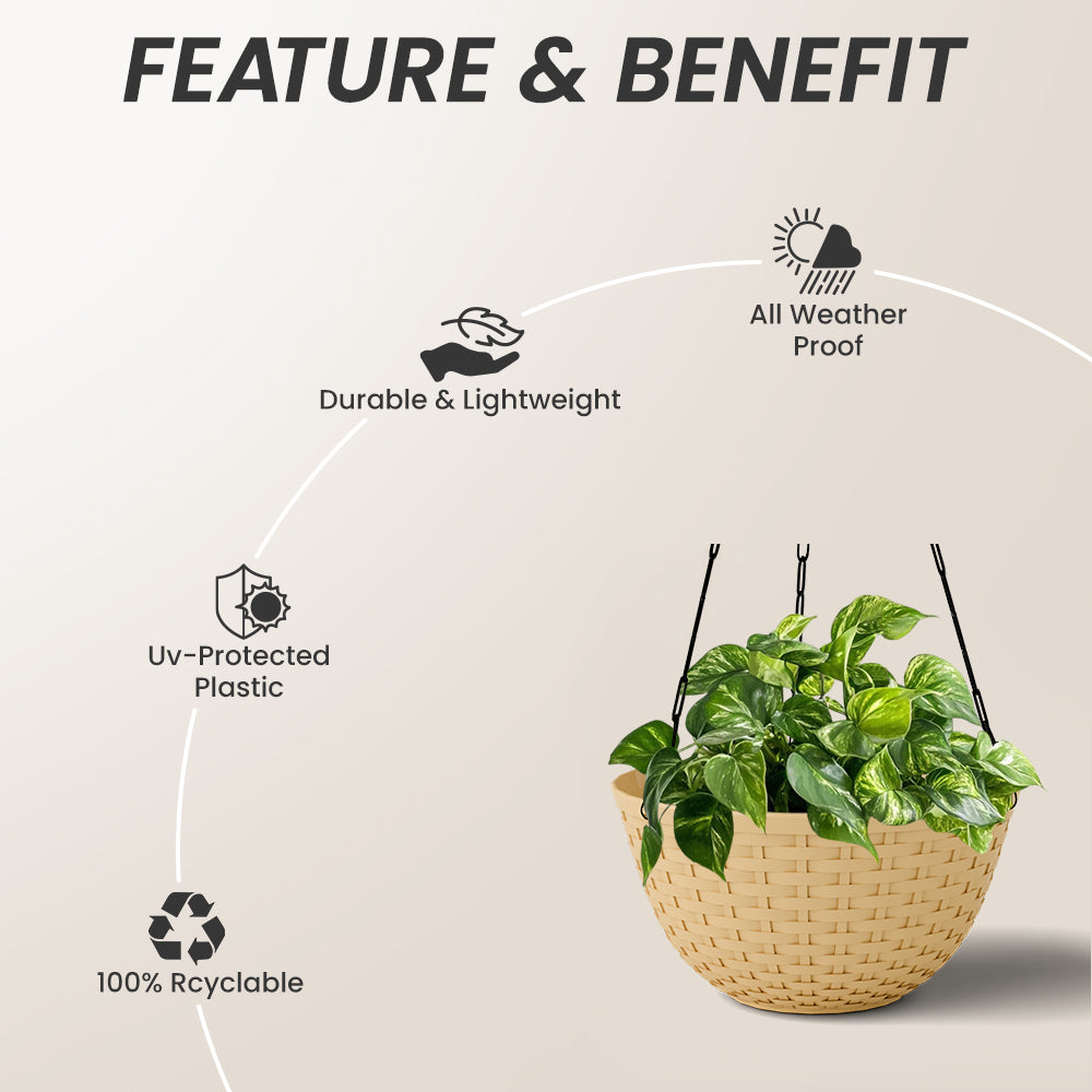 SHERA | CHICK HANGING