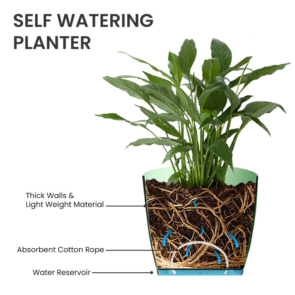 SHERA | ZINNIA PLANTER