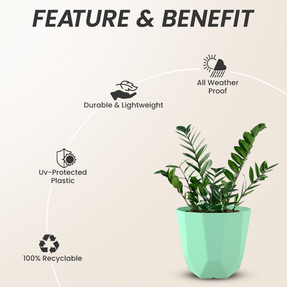 SHERA | HEXA PLANTER