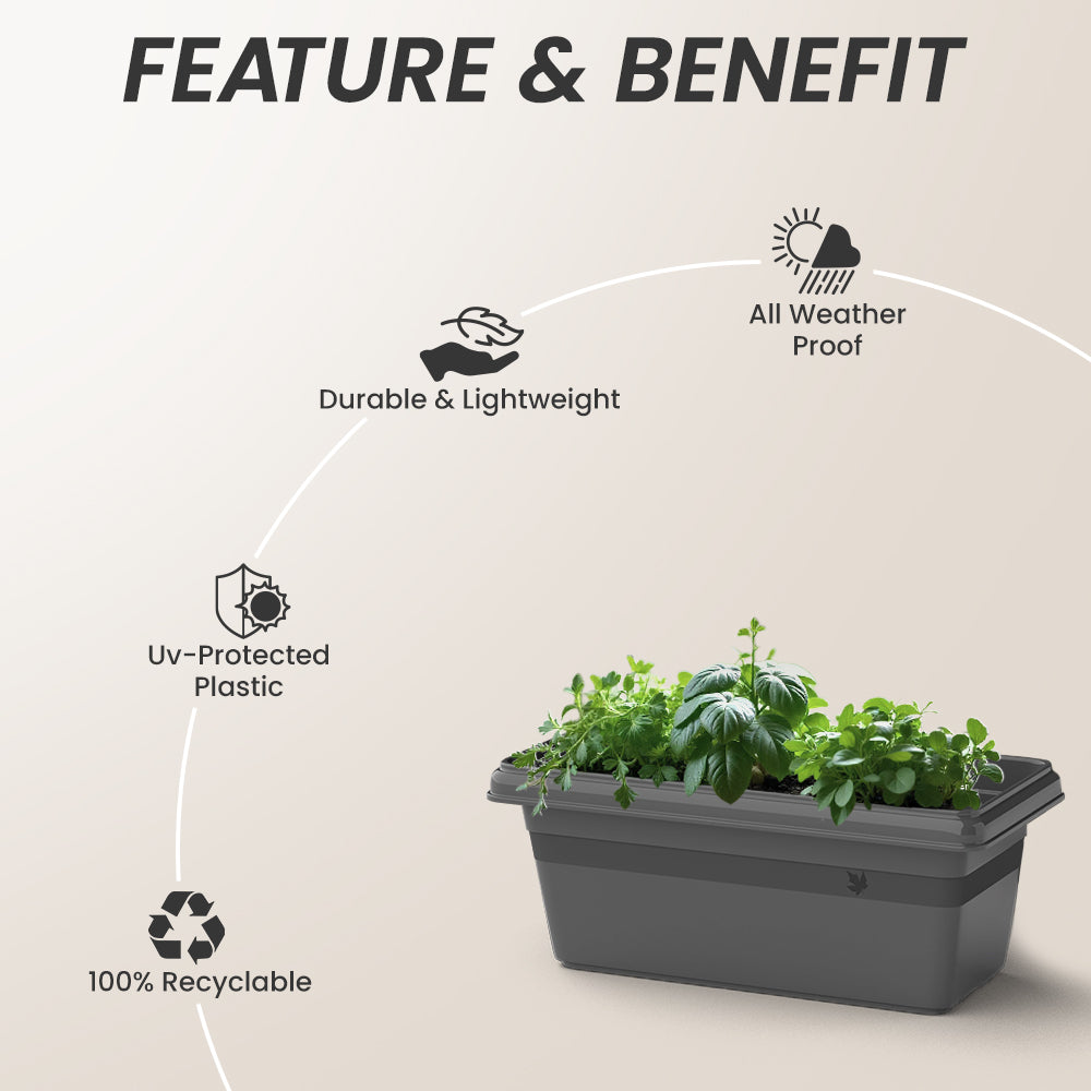 SHERA | TP PLANTER