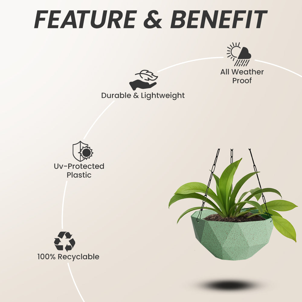 SHERA | DMD KTR BIO HANGING