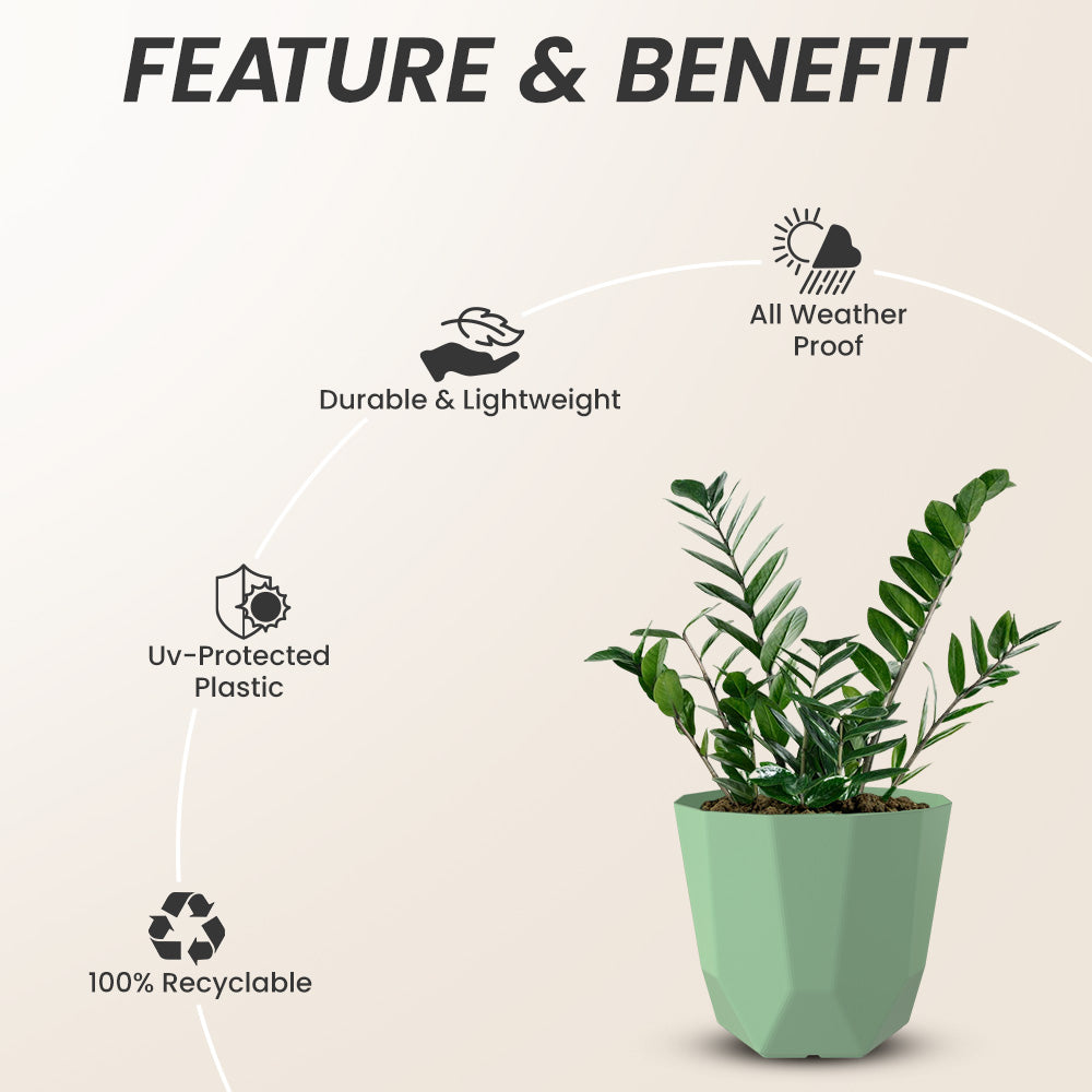 SHERA | HEXA PLANTER